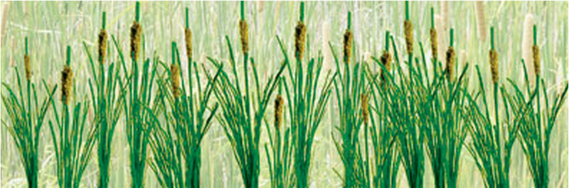 JTT Trees & Shrubs 95536  CATTAILS 1-1/2', O