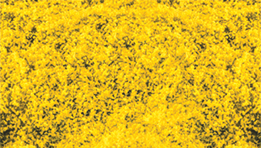 Heki/Mini Forest 1589 Decograss(R) Pad 11 x 5-1/2" 28 x 14cm -- Goldenrod