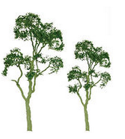 JTT Trees & Shrubs 94409 Gum 1.5' Pro 6pk, N-scale