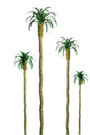 JTT Trees & Shrubs 94239 PALM 4.' PRO 3pk, HO