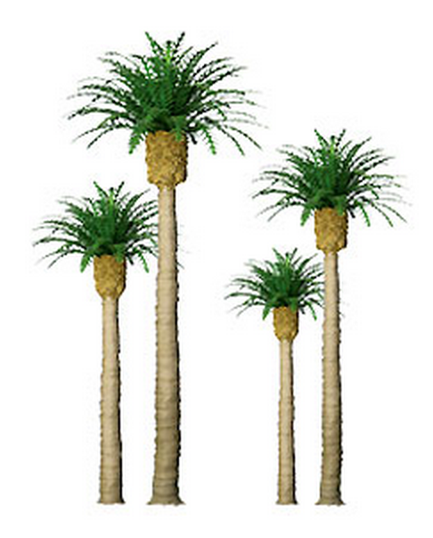 JTT Trees & Shrubs 96044 Phoenix Palm 6' Pro 1pk, O Scale