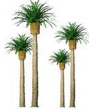 JTT Trees & Shrubs 94355 Phoenix Palm 4' Pro 2pk, HO