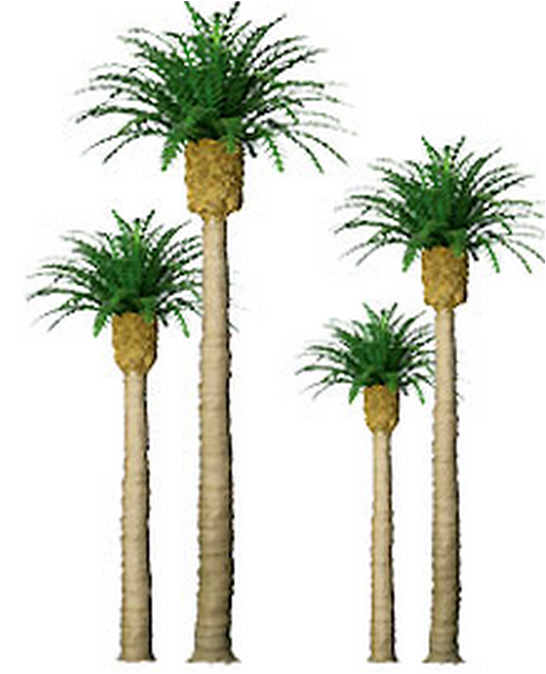 JTT Trees & Shrubs 94353 Phoenix Palm 2' Pro 4pk, N-scale