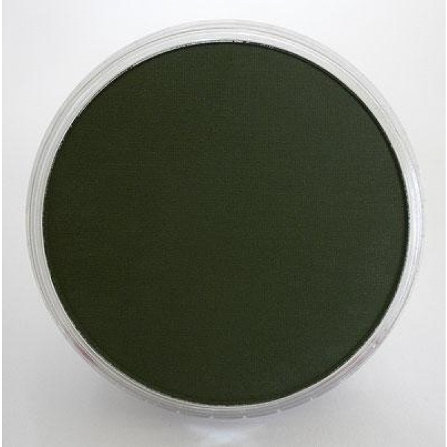 PanPastel Weathering Colors 26601 Chromium Green Extra Dark 9ml pan