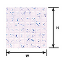 Plastruct 91542 PS-42 3:16 SQUARE TILE PATTERNED SHEET(2PK)