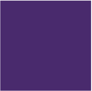 True-Color Railroad Paint 701 METALLIC PURPLE 1oz