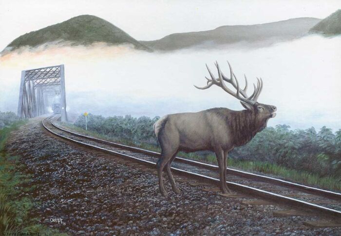 Train Enthusiast Vendors 8856 Puzzle -- Elk Tracks (550 Pieces)