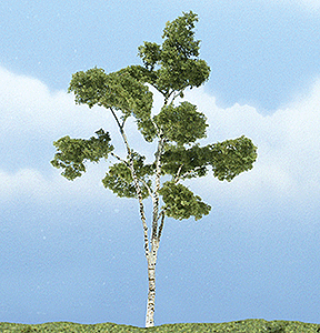 Woodland Scenics WOO1616 Ready Made Premium Trees(TM) - Deciduous -- Paper Birch - 4-1/2" 11.4cm, All Scales