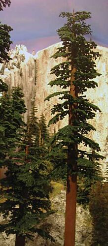 Grand Central Gems T42 Redwood Trees -- 6 to 9" 15.2 to 22.9cm pkg(2)