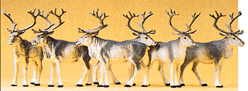 Reindeer pkg(6), HO