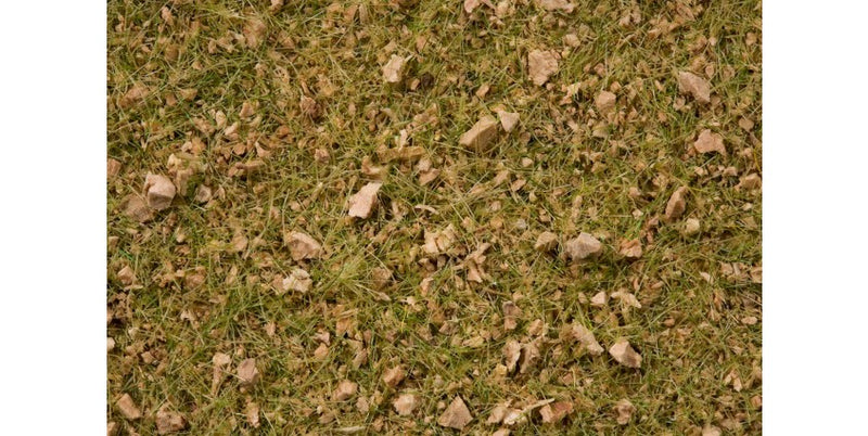 Noch Gmbh & Co 7079 Scatter Grass in 3-1/2oz  100g Plastic Tub -- Alpine Meadow Blend - Covers About 1 Square Yard/Meter, All Scales