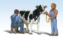 Woodland Scenics A2553 Scenic Accents(R) Figures -- Milkin' Ol Bessie, G Scale