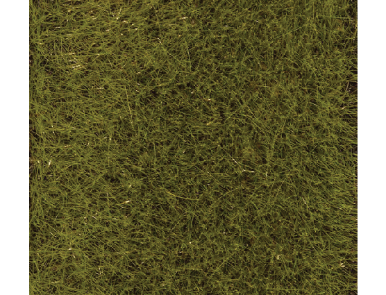 Faller Gmbh 170772 Static Grass - Premium - 2.8oz  80g -- Early Summer Meadow, All Scales