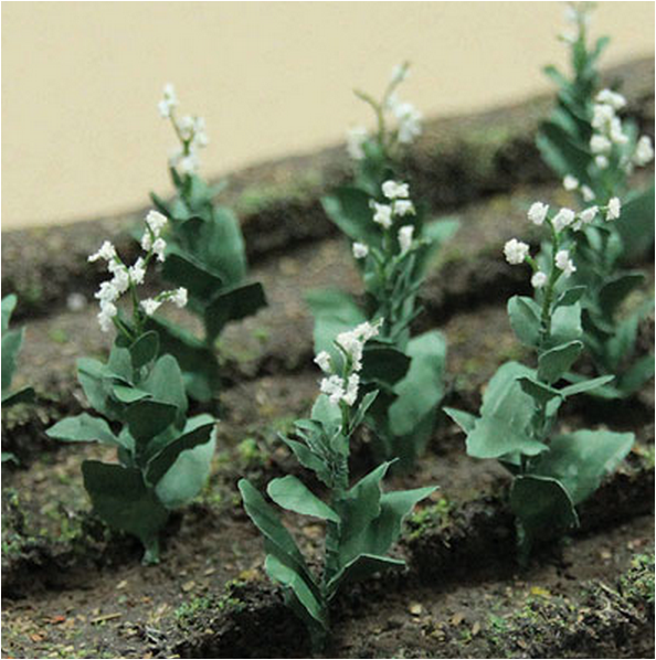 JTT Trees & Shrubs 95587  TOBACCO PLANTS, O Scale