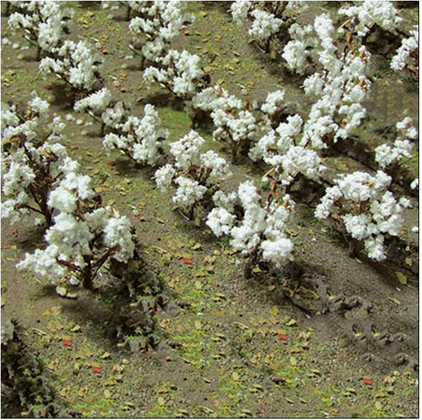 JTT Trees & Shrubs 95591  COTTON PLANTS, O