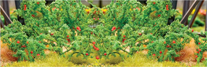 JTT Trees & Shrubs 95526  TOMATOES 1-1/2', O Scale