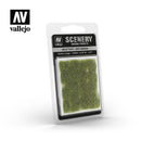 Vallejo Acrylic Paints SC424 Wild Tuft ÃƒÂ¢Ã¢â€šÂ¬Ã¢â‚¬Å“ Dry Green