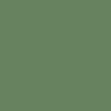Mission Models Water-Based Acrylic Paint 1oz 29.6ml -- MMP-018 Resedagrun Reseda Green RAL 6011