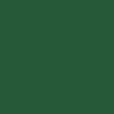 Mission Models Water-Based Acrylic Paint - 1oz  29.6mL -- MMP-004 Green