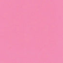 Mission Models Water-Based Acrylic Primer - 1oz  29.6mL -- MMP-005 Pink Primer